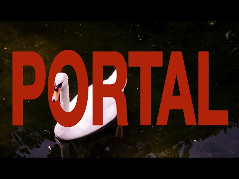 Darcy Altavilla | PORTAL