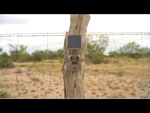 Introducing EDGE SOLAR from Moultrie