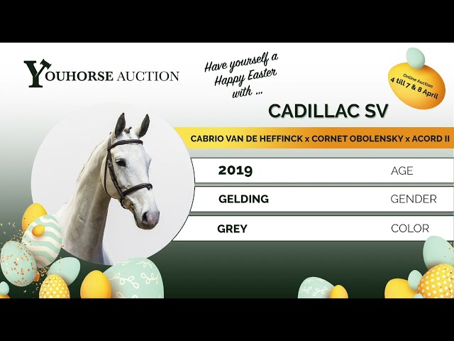 Cadillac SV showvideo indoor