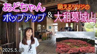 【あどちゃん樂木ポップアップ】奈良県葛城市大和葛城山　朱に染まる葛城山を堪能して、あどちゃんのポップアップに行こう‼