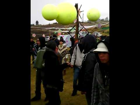 Parabax @tomok festival Kamino Records