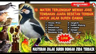 Download lagu Masteran Jalak Suren Full Isian Tembakan Mewah Lengkap - Masteran Jalak Suren Juara Nasional 2021 mp3