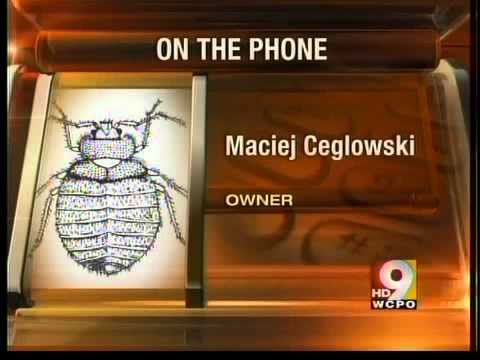 Bed Bug Registry Hotel Chains