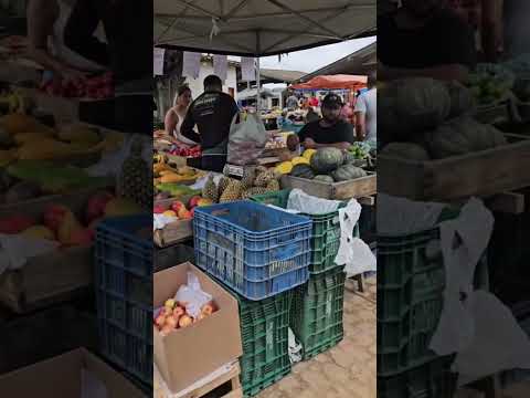 Feira de Tremedal Bahia, 28/11/2025