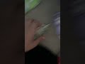 Teletubbies Opening Theme Faster