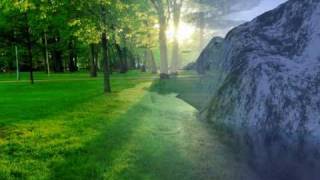 White Apple Tree - Clarity