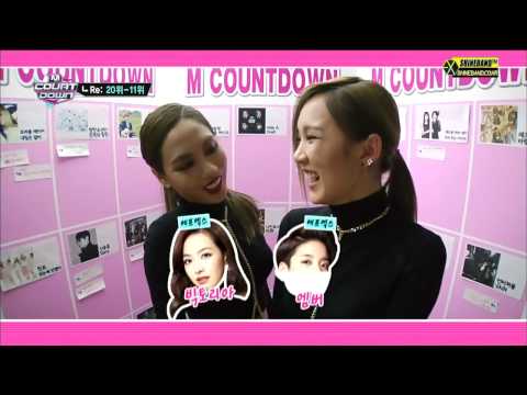 131114 EXO 가요계 사조직 China line