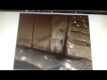 AskARoofer Dry Rot Barge Rafters