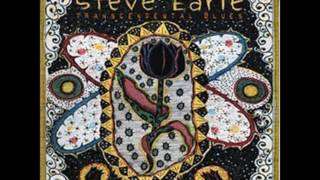 “When I Fall” - Steve Earle