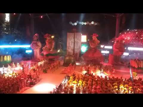 Festival de Parintins 2019 boi garantido