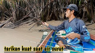 Download lagu strong pull of the reel creaking loudly when the water is very low, the latest fishing for giant ... mp3