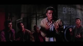 The Gangs fight (West Side Story)