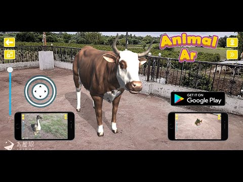 Animal Ar