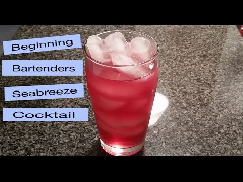 Beginning Bartenders Seabreeze Cocktail