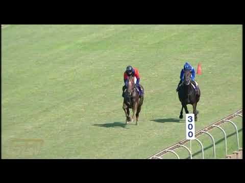 20210421 Hollywoodbets Greyville Gallop by LINEBACKER and SEEKING THE STARS