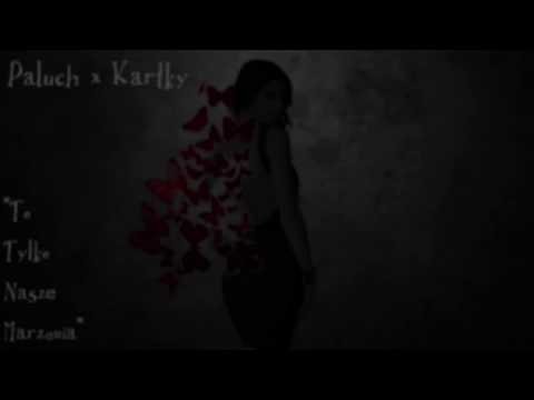Paluch x Kartky - To Tylko Nasze Marzenia (Madness Blend) (Reupload)