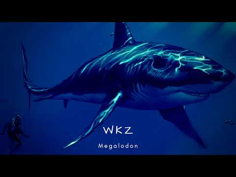 WKZ - MEGALODON (Prod.CRCL)