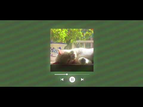 softcore calming/comfort/chill playlist˚₊· ͟͟͞͞➳❥