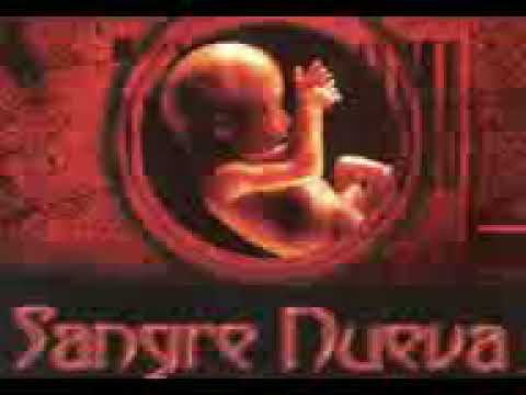 Franco El Gorila ft Wisin Restraya (2005) Clasico Youtube Original.3gp