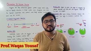 Mechanism of Enzyme action |  Enzymology