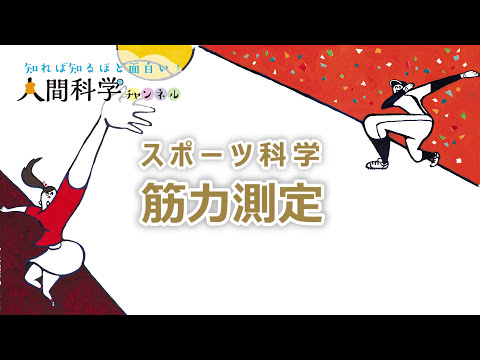 スポーツ科学　筋力測定