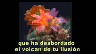 MILAGRO DE AMOR El Padrino   Andy Willians