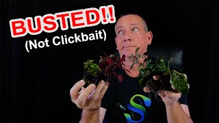 I got BUSTED by the STATE OF FL. for selling PLANTS!