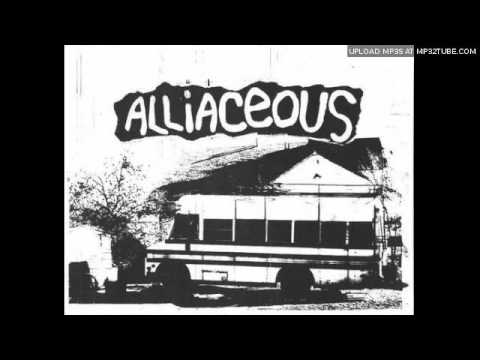 Alliaceous - Acoustic