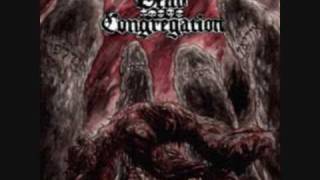 Dead Congregation - Source of Fire