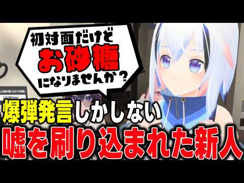 【VRChat】噓を刷り込まれたVRC初心者なら爆弾発言を連発する説【FUJIYAMA】