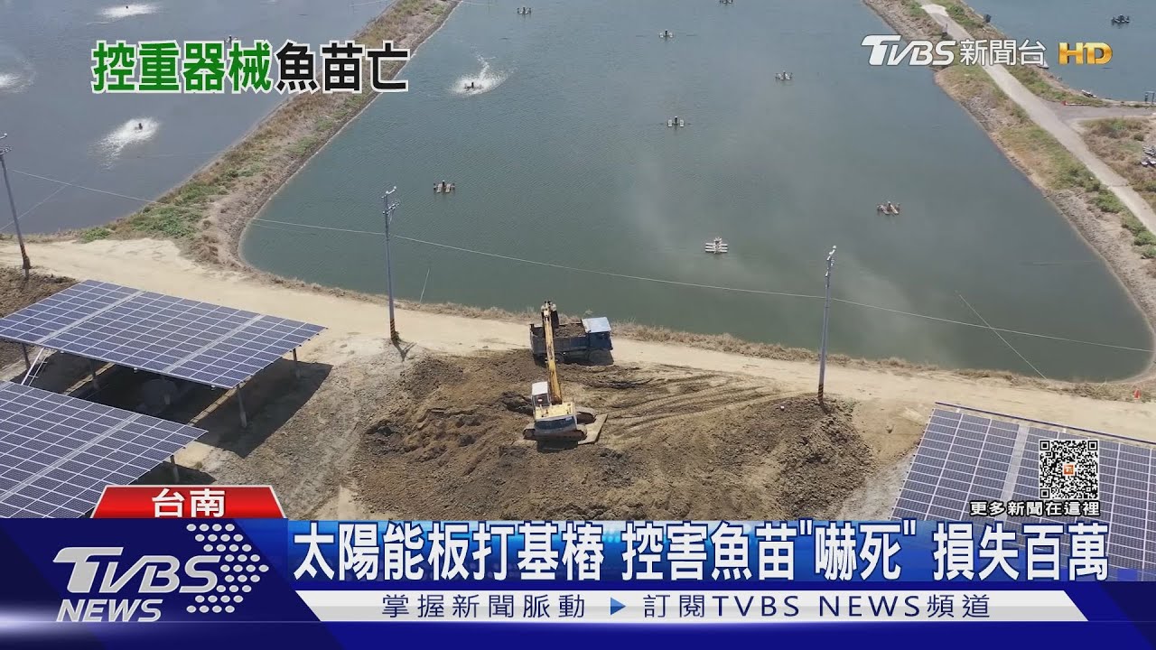 太陽能板打基樁控震動低頻嚇死魚苗　損失百萬