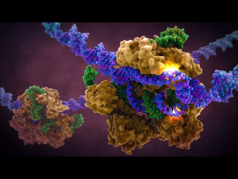 Debunking Arguments Against CRISPR