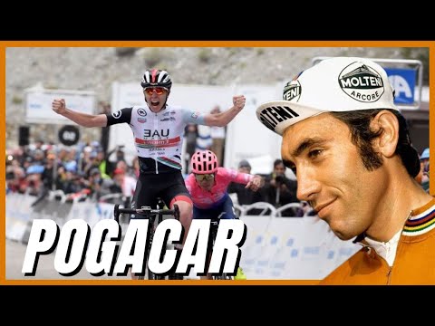 The new Eddy Merckx? - Tadej Pogacar. Cycling with a capital C