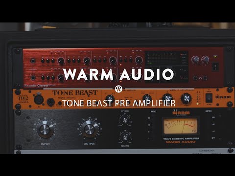 Warm Audio TB12 Tone Beast Dual Amp Mic Preamp | Reverb Gear Demo