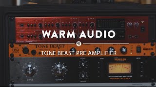 Warm Audio TB12 Tone Beast Dual Amp Mic Preamp | Reverb Gear Demo