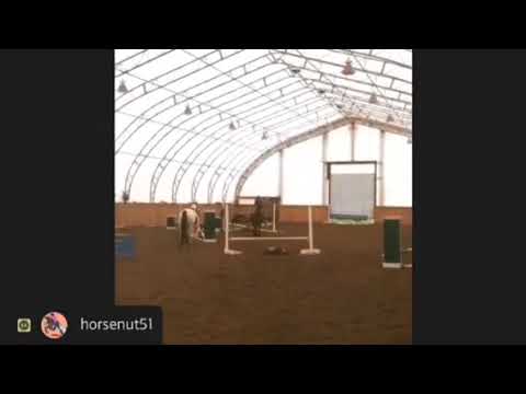 trim 7404EE29 6B1B 411D 8151 C0EEA67E79BE