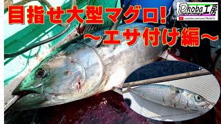 【伊豆南沖泳がせマグロ】エサ付けから投入まで