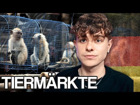 TIERMÄRKTE MÜSSEN VERBOTEN WERDEN