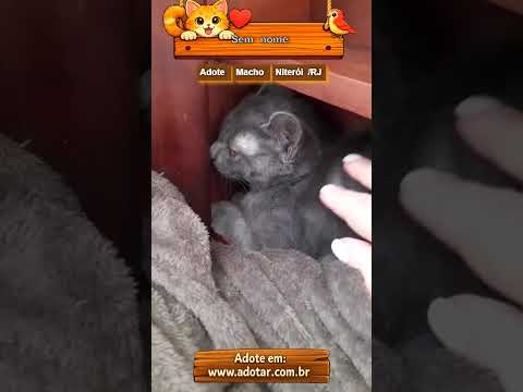Vídeo de Sem nome