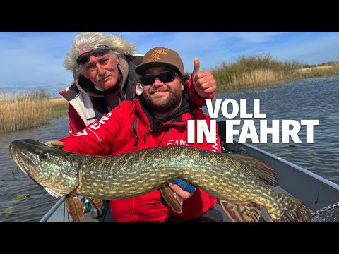 HECHTE haben BOCK im FRÜHJAHR - Olli ZERSTÖRT Jörg's RUTE bei 'Fang mal was' (20)