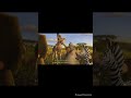 Melman Said How Do A Lion A Zebra Giraffe A Hippo Walk Into A Casino To Monte De Carlo