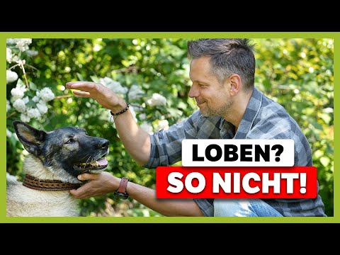 Vermeide diese 5 FEHLER beim Loben