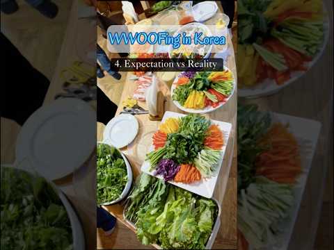 4. Expectations vs Reality