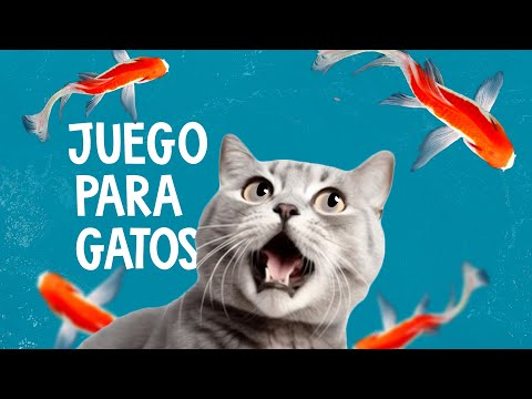 Videos de Peces para #gatos | #Peces