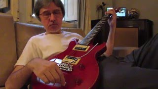 Tribute to Mike Oldfield: "Embers" ( on PRS SE Guitar ) ( February 2016 )