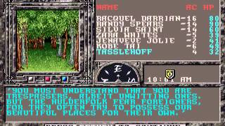 Let's Play The Dark Queen Of Krynn Part 025