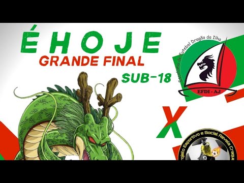 AS FINAIS DA COPA R.A SUB 14 SUB 16 SUB 18 SUB 20