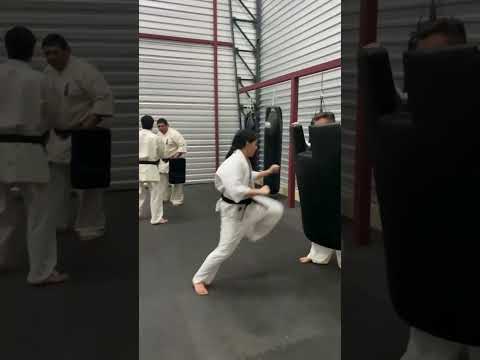 Entreno karate kyokushin adultos enso heredia