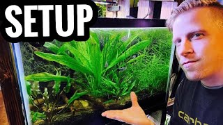 How to Set Up a Planted Aquarium - Live Plants for Beginners