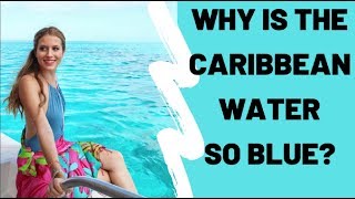 Why Water Is So Blue In the Caribbean Sea | Travel Tips & Tricks | How 2 Travelers